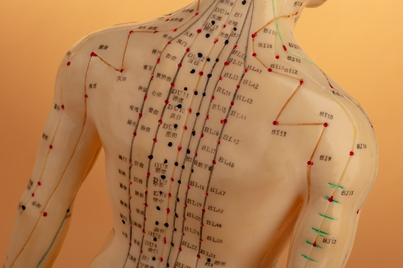 What is an acupuncture point?